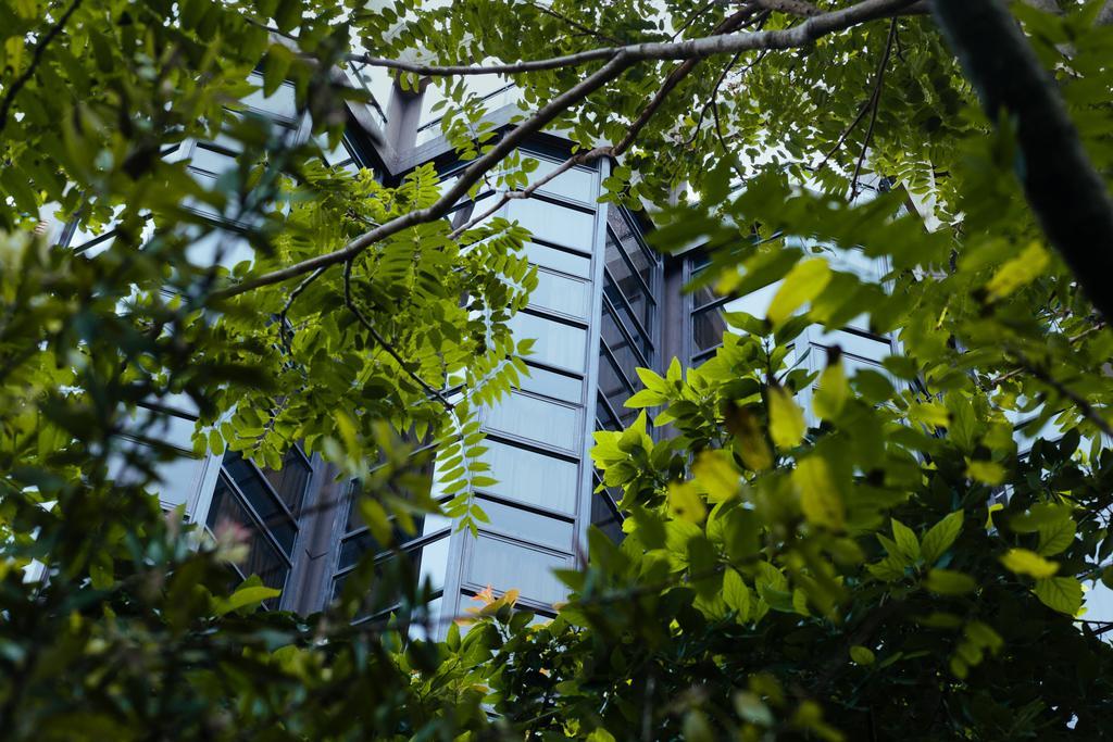 Primacy Apart Hotel Mar del Plata Eksteriør bilde